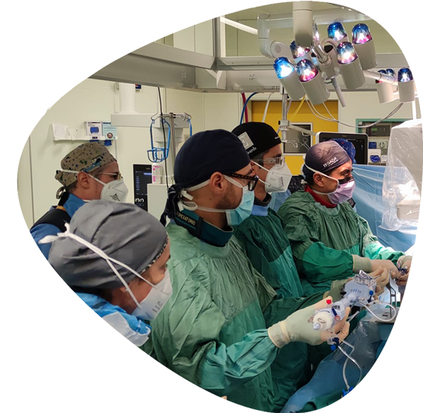 https://www.minicardiacsurgery-univpm-research.com/wp-content/uploads/2021/03/SURGICAL-HYBRID-AND-TRANS-CATHETER-ACTIVITY-new.png